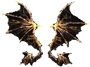 Wing of Storm