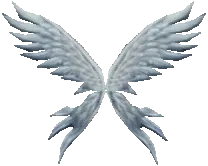 [Bound] Wings of Soul