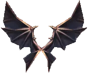 [Bound] Wings of Dragon
